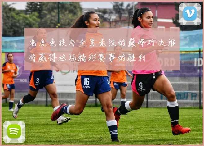 老虎竞技与全男竞技的巅峰对决谁将赢得这场精彩赛事的胜利